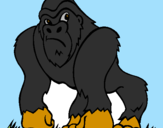 Disegno Gorilla pitturato su carcy