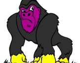 Disegno Gorilla pitturato su vincenzo  axel
