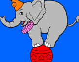 Disegno Elefante sulla palla  pitturato su asia