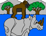 Disegno Rinoceronte e scimmietta  pitturato su isha