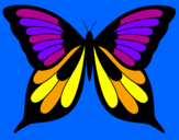 Disegno Farfalla pitturato su chiarac.