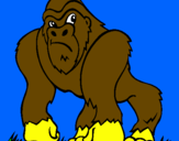 Disegno Gorilla pitturato su levi6