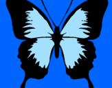 Disegno Farfalla con le ali nere pitturato su matilde