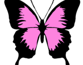 Disegno Farfalla con le ali nere pitturato su giovanna