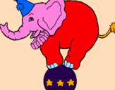 Disegno Elefante sulla palla  pitturato su leo