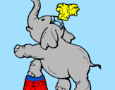 Disegno Elefante  pitturato su thomas