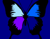 Disegno Farfalla con le ali nere pitturato su Michele