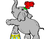 Disegno Elefante  pitturato su chara