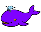 Disegno Balena che spruzza  pitturato su diego
