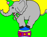 Disegno Elefante sulla palla  pitturato su ANNA