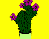 Disegno Fiori di cactus  pitturato su Lucia Angelillo