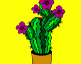 Disegno Fiori di cactus  pitturato su sara e marty