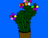 Disegno Fiori di cactus  pitturato su cippi