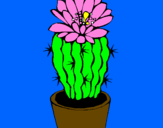 Disegno Cactus fiorito  pitturato su azzurra99