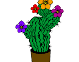 Disegno Fiori di cactus  pitturato su MARCELLA