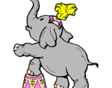 Disegno Elefante  pitturato su sara magagna