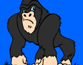 Disegno Gorilla pitturato su rene