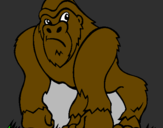 Disegno Gorilla pitturato su skonvo