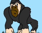 Disegno Gorilla pitturato su lollo