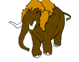 Disegno Mammuth II pitturato su rene