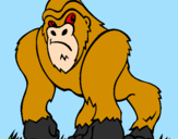 Disegno Gorilla pitturato su vito