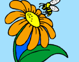 Disegno Margherita con ape  pitturato su kiko