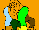 Disegno Gorilla pitturato su EDGAR JOSUE HERNANDEZ LOP