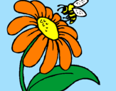 Disegno Margherita con ape  pitturato su kiko