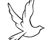 Disegno Colomba della pace in volo pitturato su valeria