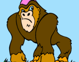 Disegno Gorilla pitturato su giorgi gorilla