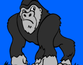 Disegno Gorilla pitturato su ettore