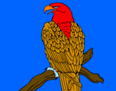 Disegno Aquila su un ramo pitturato su samuel