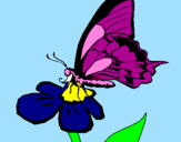Disegno Farfalla su un fiore pitturato su winnie the phoo