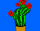 Disegno Fiori di cactus  pitturato su martina