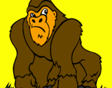 Disegno Gorilla pitturato su luca