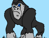 Disegno Gorilla pitturato su filippo