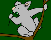 Disegno Koala  pitturato su gegergege