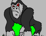 Disegno Gorilla pitturato su NICKO 