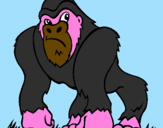 Disegno Gorilla pitturato su MARCO