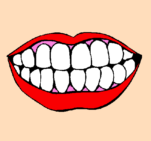 Bocca e denti 