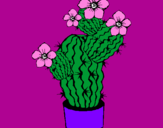 Disegno Fiori di cactus  pitturato su ilirida