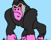 Disegno Gorilla pitturato su ALESSIO