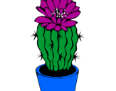 Disegno Cactus fiorito  pitturato su raffa