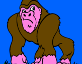 Disegno Gorilla pitturato su Niccolo