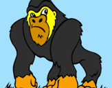 Disegno Gorilla pitturato su ALE 24
