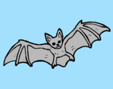 Disegno Pipistrello in volo  pitturato su Marta