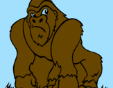 Disegno Gorilla pitturato su nicolò