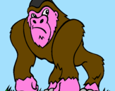 Disegno Gorilla pitturato su Filippo Rizzato