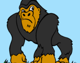 Disegno Gorilla pitturato su manuel.yle
