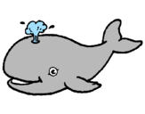 Disegno Balena che spruzza  pitturato su @VALENO@